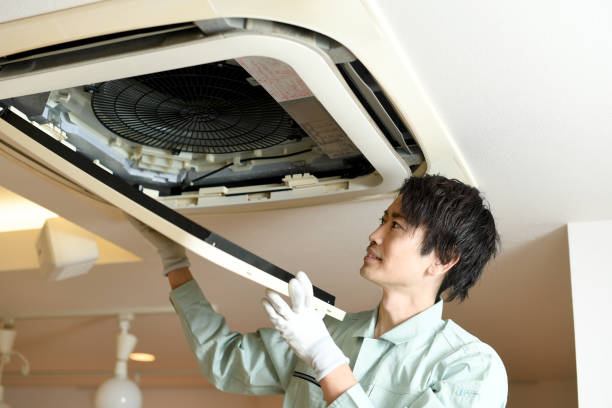 Best Air Duct Mold Removal  in Churubusco, IN